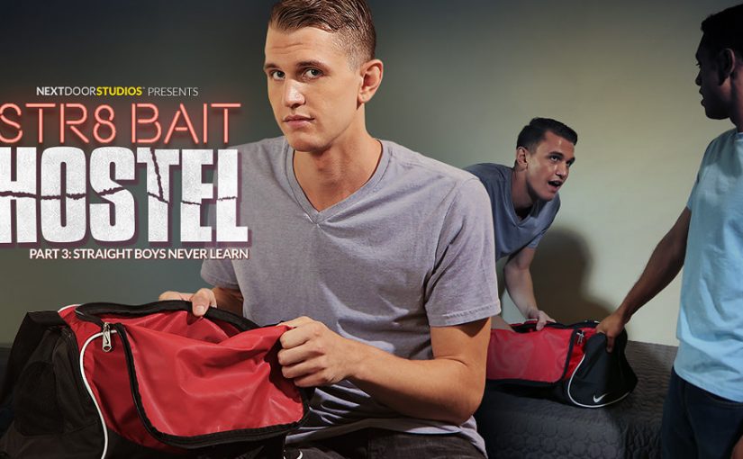 STR8 Bait Hostel: Straight Boys Never Learn