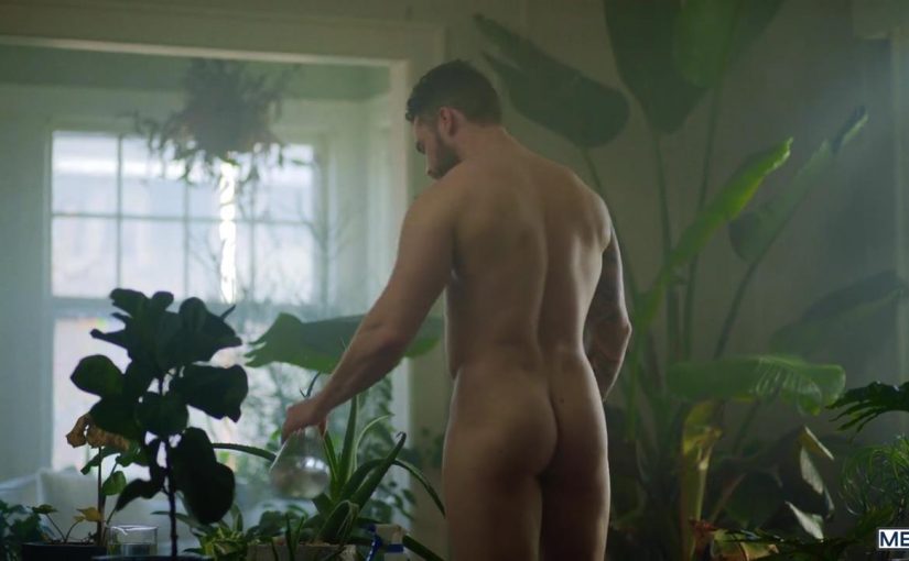 Camp Chaos – Upstate: Bareback